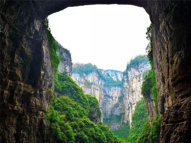 救援环境科学家